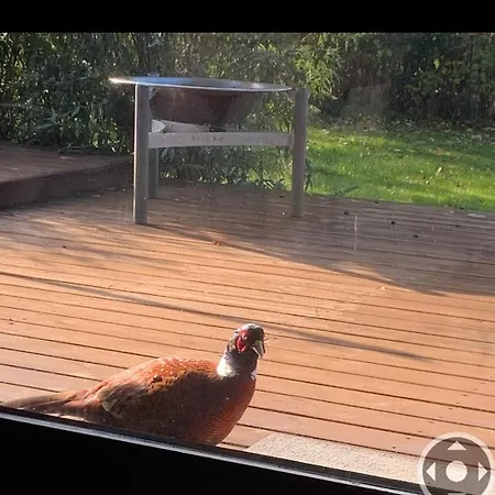 Dejlig 150m Fra Privat 度假居