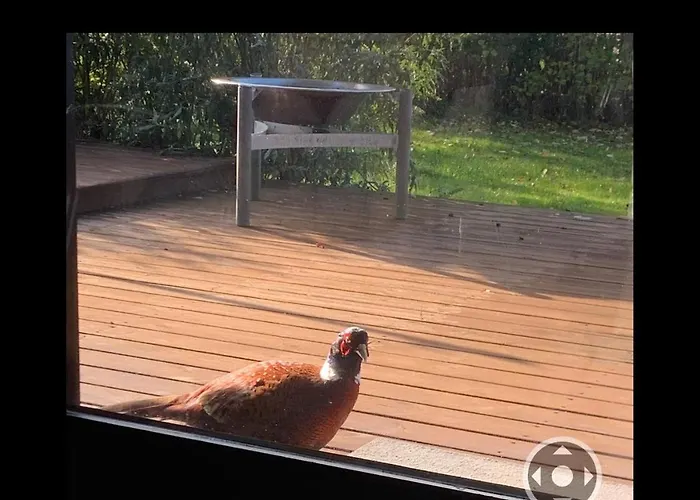 Dejlig 150m Fra Privat Сasa de vacaciones